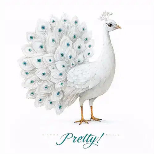 Pretty Peacock