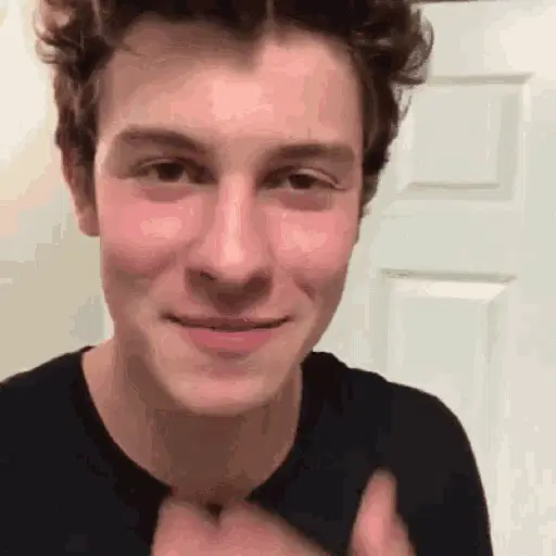 Shawn Mendes Blow Kiss