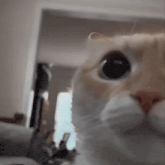 Yasin 上傳的 GIF