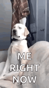 GIF nahrál Funnygirl