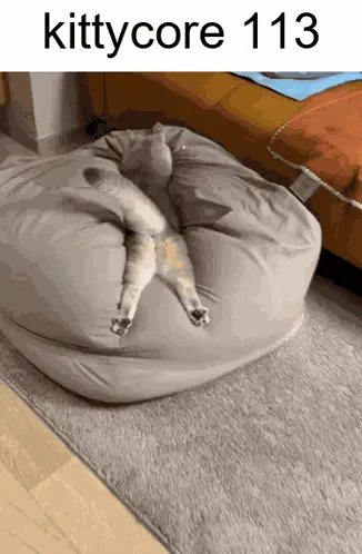 Kittycore Cat – free GIF download | memes GIF | meme platform