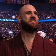 Jiri Prochazka Ufc
