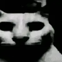고양이