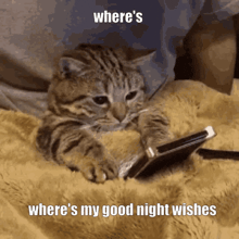 Mademoiselle Amy 上傳的 GIF