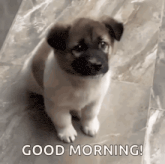 GIF eropgeluede vum Bharath