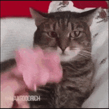 GIF