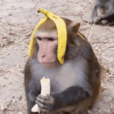 GIF 이미지