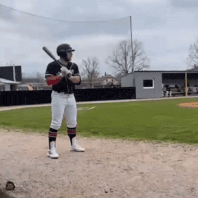 Baseball Brainrot