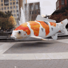 GIF