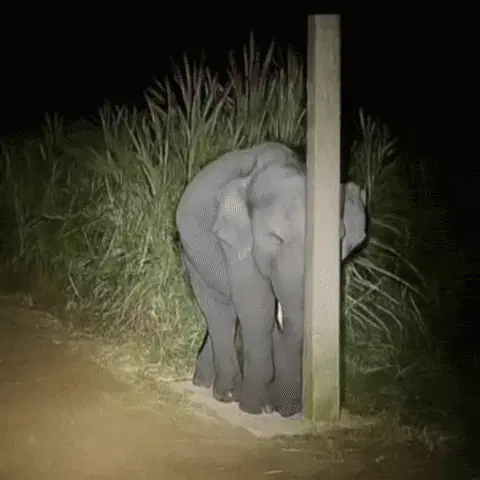 attachment