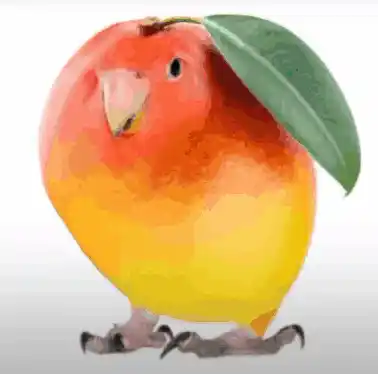 Mango Bird