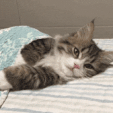 GIF uploadet af Funnygirl