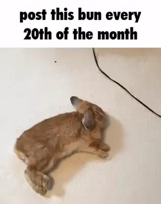 https://klipy.com/gifs/post-this-bun-bunny-7 ## Post-this-bun Bunny ![Embed Thumbnail](https://static.klipy.com/ii/4493325008d34b7bf8cd6813cd5c1619/88/62/AUwZcdtxFTQWIxXwzL4.webp)