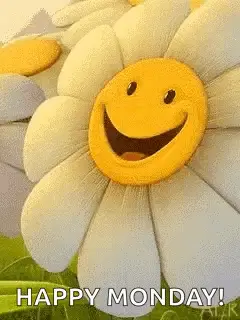 Flower Wink – monday memes meme GIF free download no watermark 2026