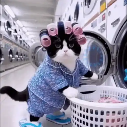 Me You Laundry Laundry