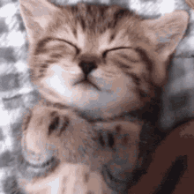 Sleep Sleeping