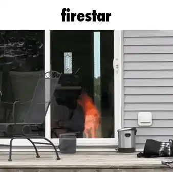 Firestar Warrior Cats