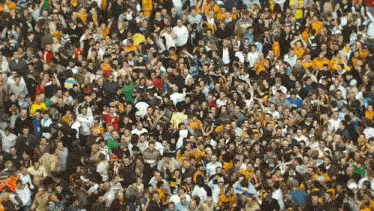 Hull City Hcafc