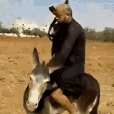 idpiWgVopGE7jGvQK4.gif