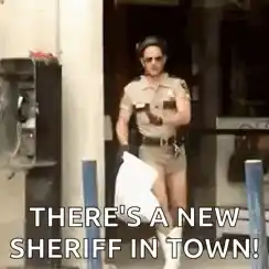 Reno 911