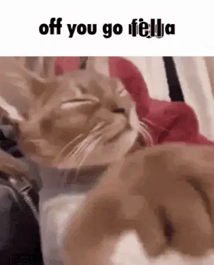 Off You Go Fella