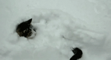 GIF uploaded by Don