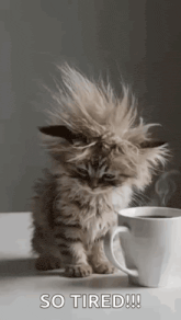 GIF gi-upload ni Ly