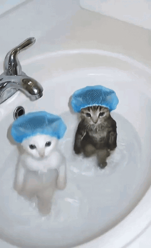 Cat Showercap Slyonicz