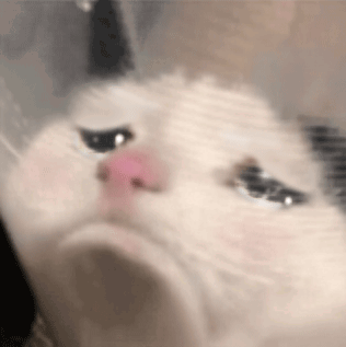 Crying Crying Cat