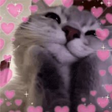 GIF gi-upload ni Eddie