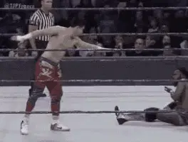 Tjp Tj