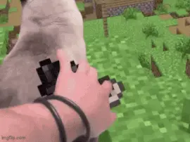 Minecraft Cat Meme Angry Cat – minecraft memes meme GIF free download no watermark 2026