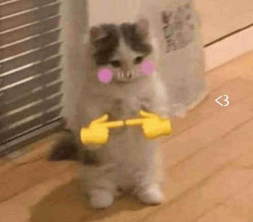 GIF