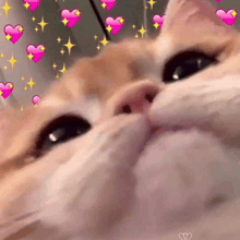 GIF e kentsoeng ke moonveil~