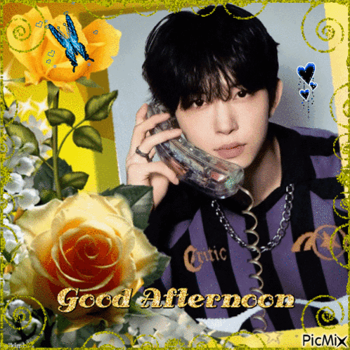 GIF 이미지