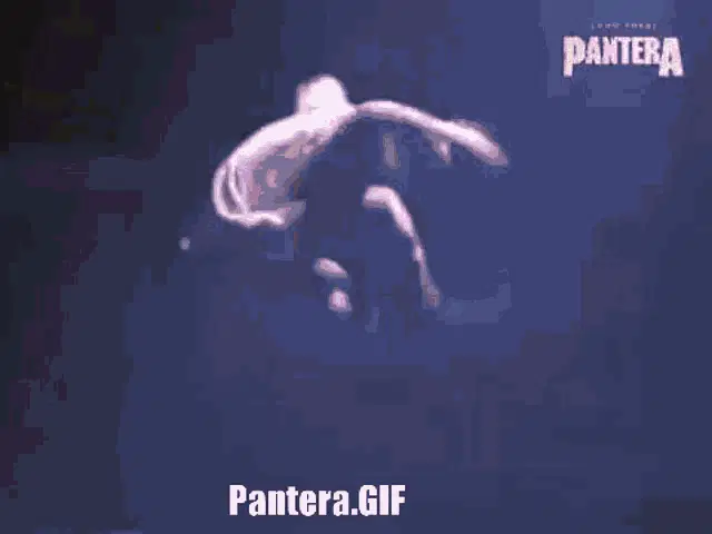 Pantera Phil