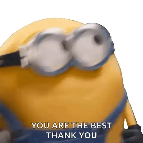 Minion Minions