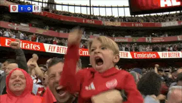Arsenal Arsenal Fan – free GIF download | meme platform | memes GIF