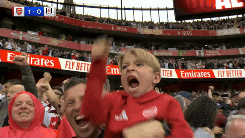 Arsenal Arsenal Fan – free GIF download | meme platform | memes GIF