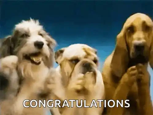 Dogs Puppy