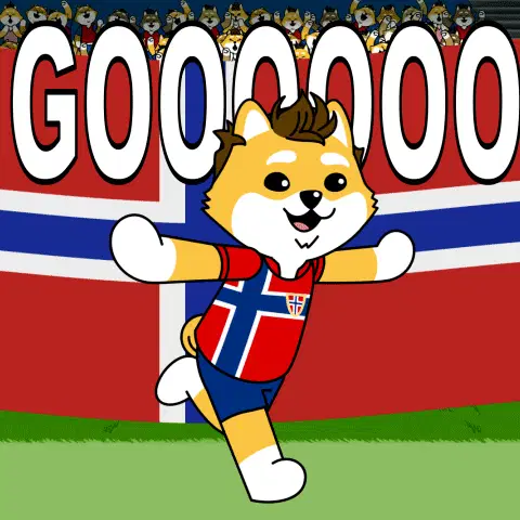 Norway Goal Norway World Cup