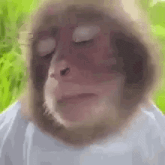 GIF uploaded by Lyn