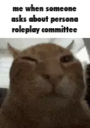 Prc Persona Roleplay Committee