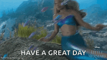 GIF 이미지