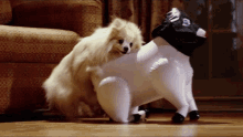 GIF