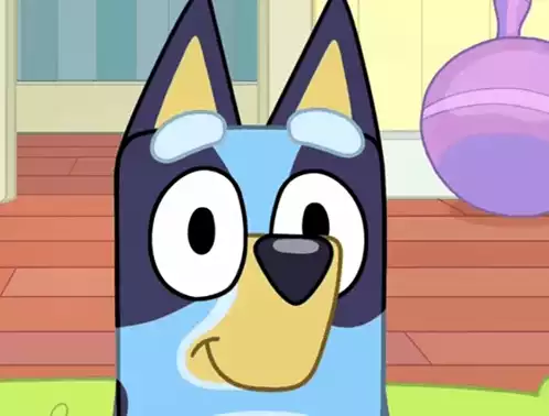Bluey Bluey Heeler
