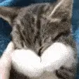 attachment