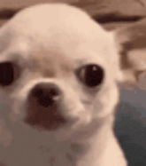 GIF na in-upload ni Kai