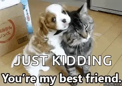 Bff Cute – best memes meme GIF free download no watermark 2026
