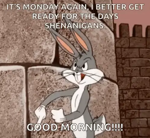 Looney Tunes Crazy – monday memes meme GIF free download no watermark 2026